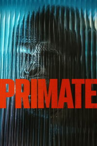 Primate